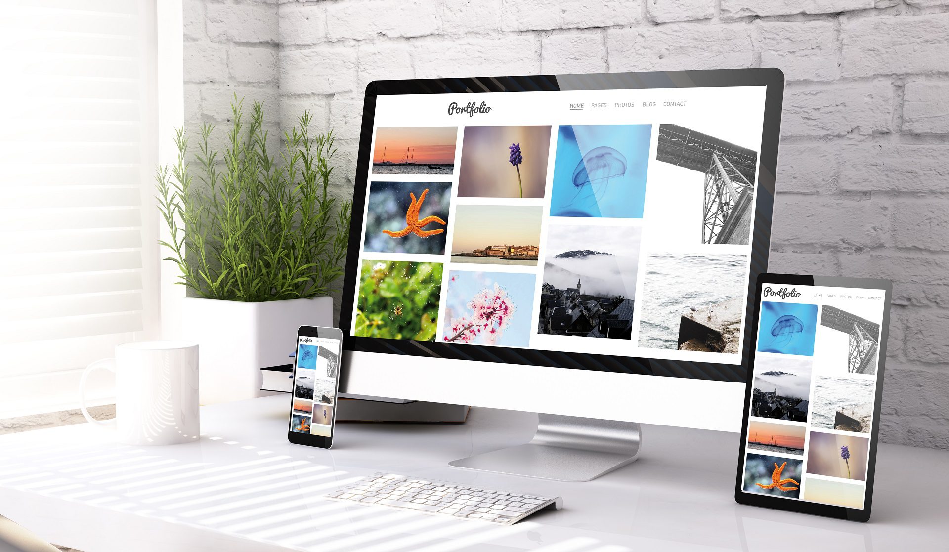 Website Graphics and Stock Images Website Graphics and Stock Images