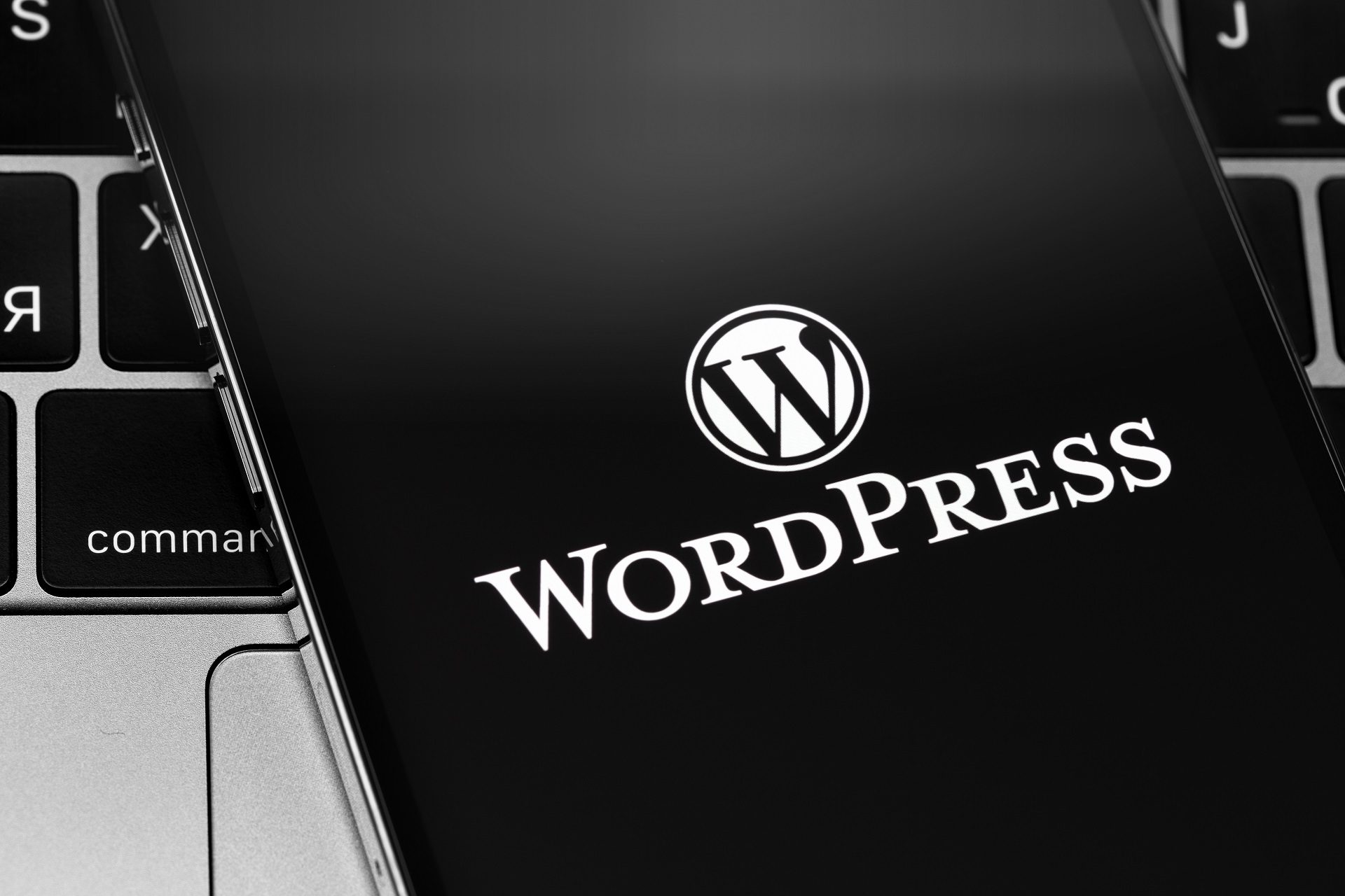 A Website Built on the WordPress Platform